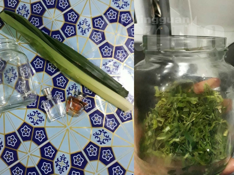 Potpourri Pandan, Solusi Murah Halau Lipas Dari Berlegar-legar Di Kabinet Dapur!