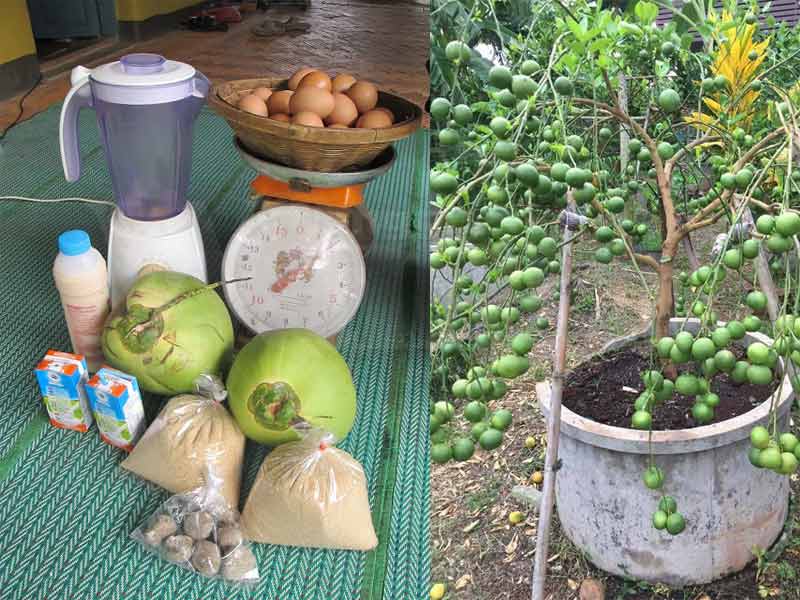 Rupanya Inilah Rahsia Petani Thailand Lebatkan Buah  