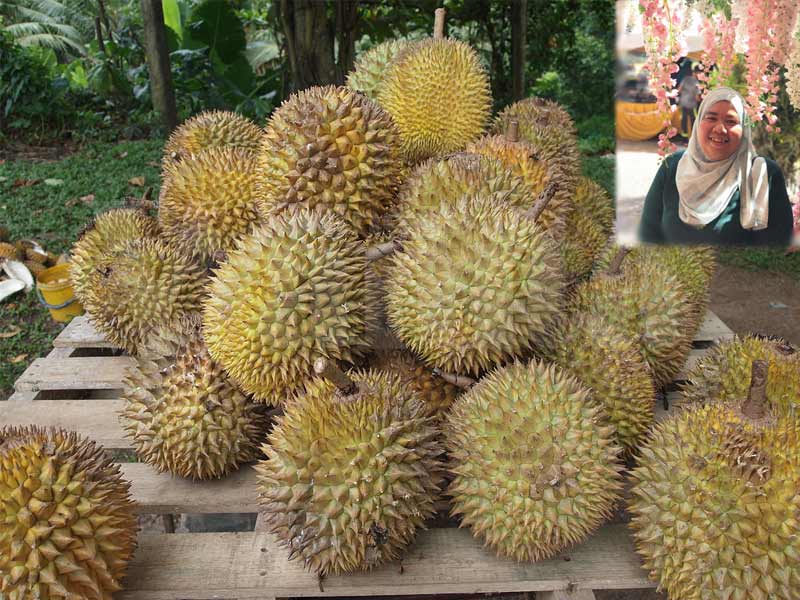 raja buah