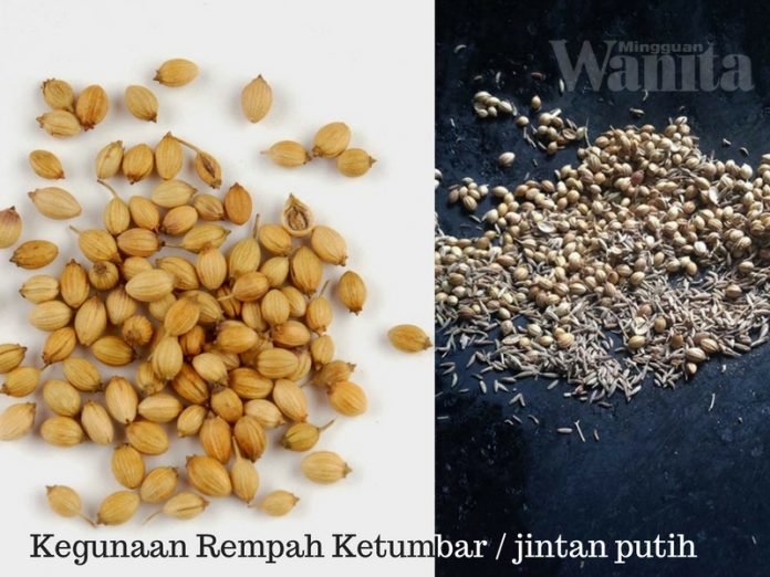 5 Bahan Rempah Ini Boleh Jadi Penyedap 4 Jenis Masakan 