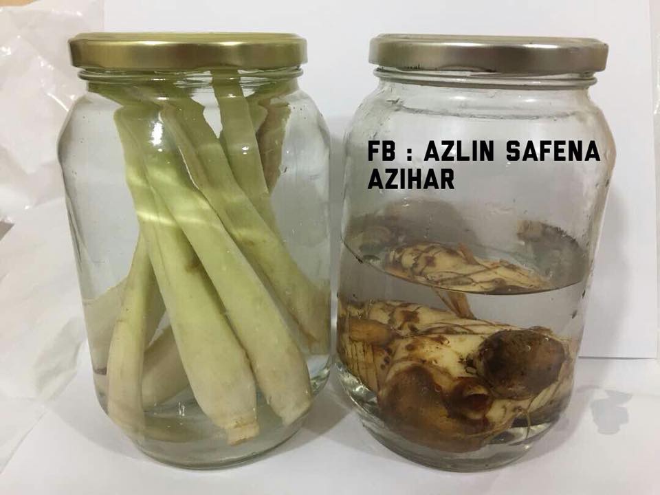 Wanita Ini Kongsi 7 Tip Simpan Sayur Agar Kekal Segar & Tahan Lebih Lama Daripada Biasa!