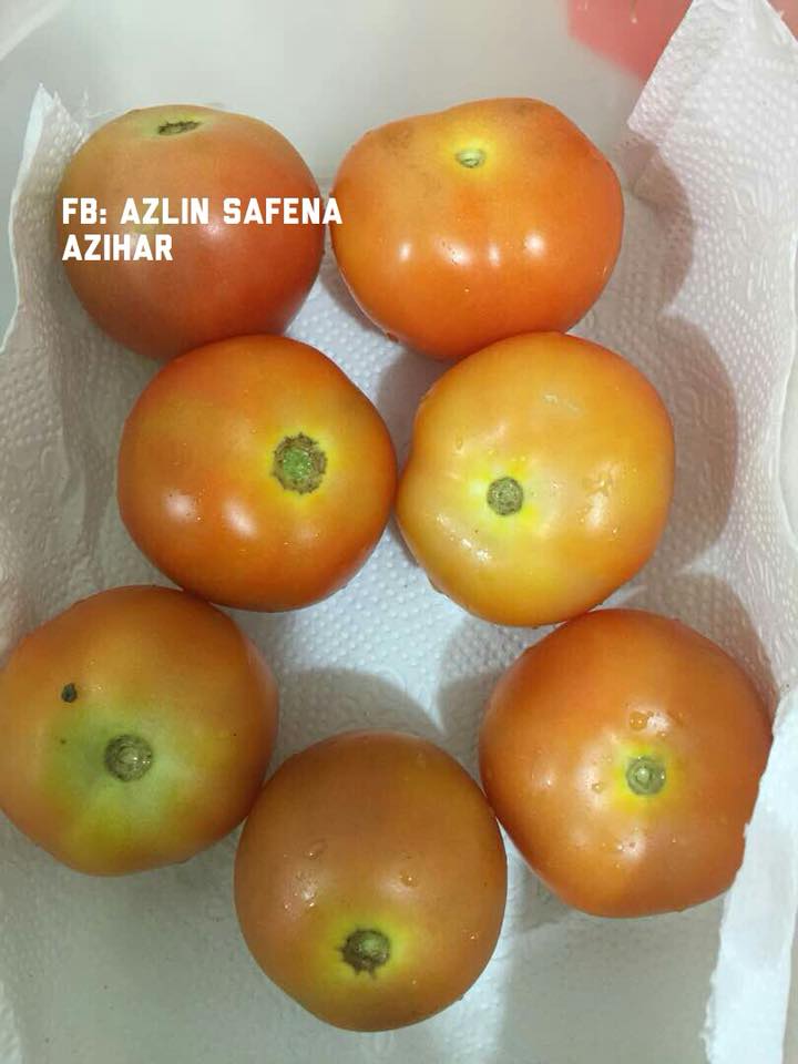 Wanita Ini Kongsi 7 Tip Simpan Sayur Agar Kekal Segar & Tahan Lebih Lama Daripada Biasa!