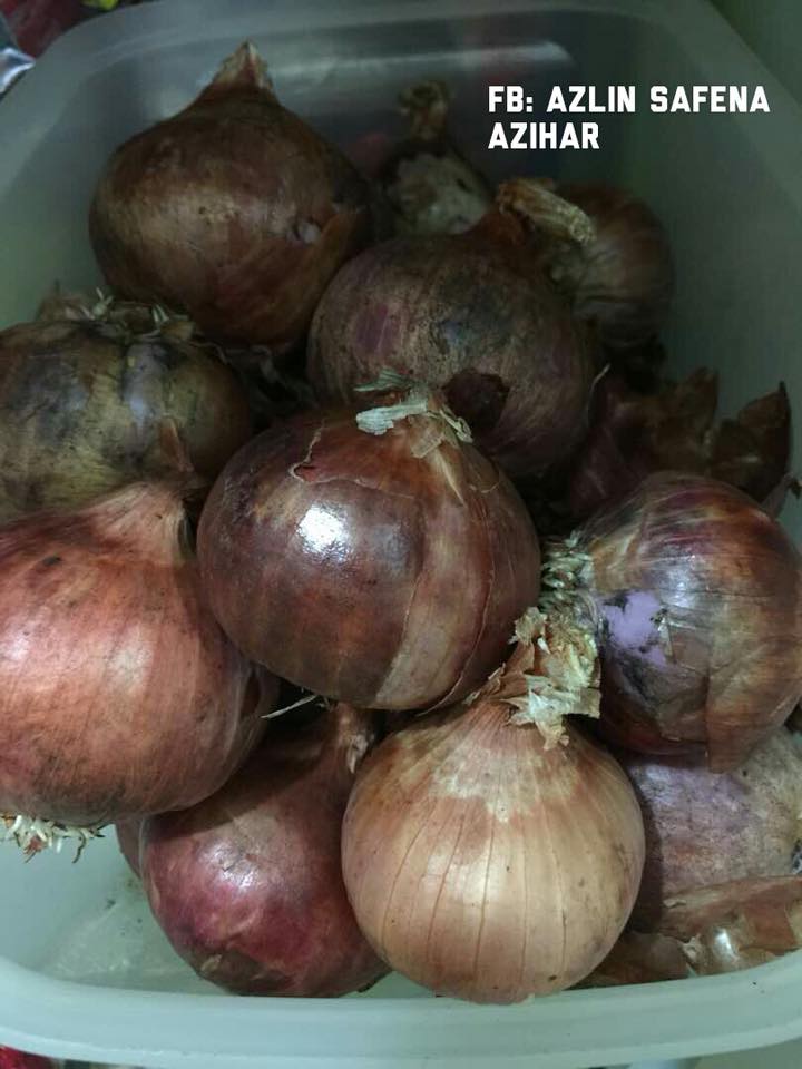 Wanita Ini Kongsi 7 Tip Simpan Sayur Agar Kekal Segar & Tahan Lebih Lama Daripada Biasa!