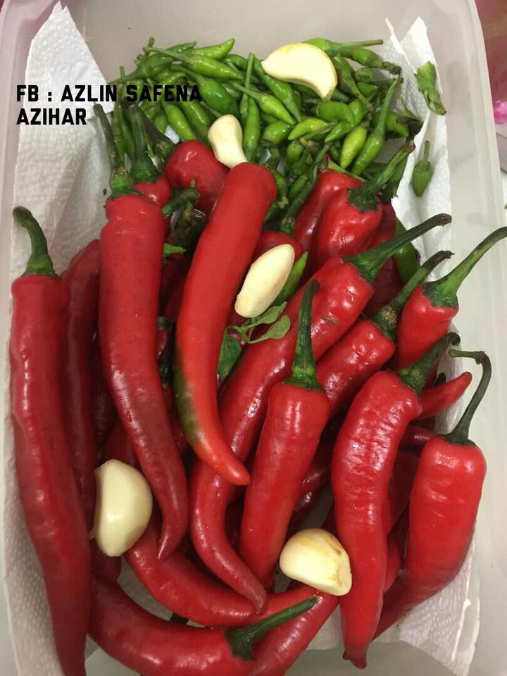 Wanita Ini Kongsi 7 Tip Simpan Sayur Agar Kekal Segar & Tahan Lebih Lama Daripada Biasa!