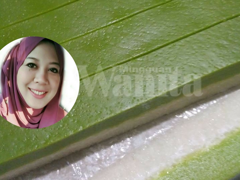 Wanita Ini Kongsi Resipi Lengkap Kuih Seri Muka Pandan Yang Sering Mendapat Tempahan