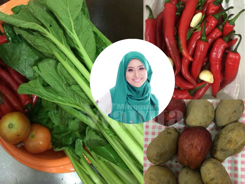 Wanita Ini Kongsi 7 Tip Simpan Sayur Agar Kekal Segar &#038; Tahan Lebih Lama Daripada Biasa!