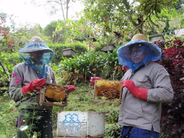 9 Tempat Menarik PERCUMA Wajib Singgah Bila Rancang Bercuti Ke Cameron Highlands