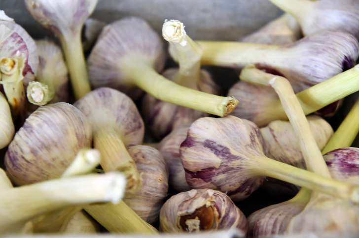 Nak Amal Petua Bawang Putih Tu Tak Salah, Tapi Jangan Sampai Buat 6 Kesalahan Ini