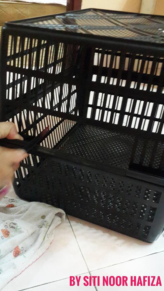 Mudahnya DIY Rumah Kucing Dari Bakul, Tak Sampai Pun RM10