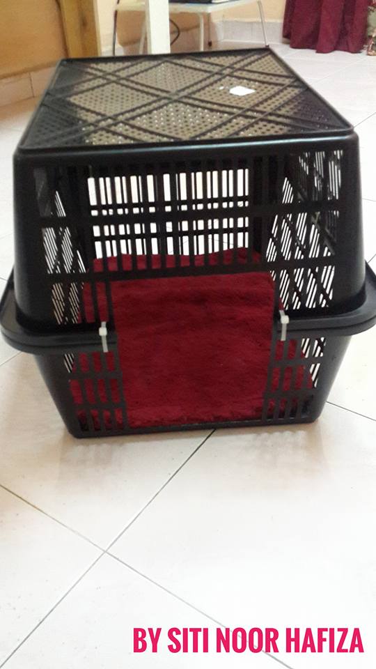 Mudahnya DIY Rumah Kucing Dari Bakul, Tak Sampai Pun RM10