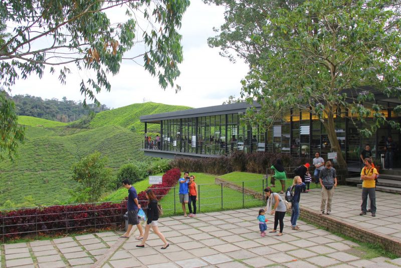 9 Tempat Menarik PERCUMA Wajib Singgah Bila Rancang Bercuti Ke Cameron Highlands