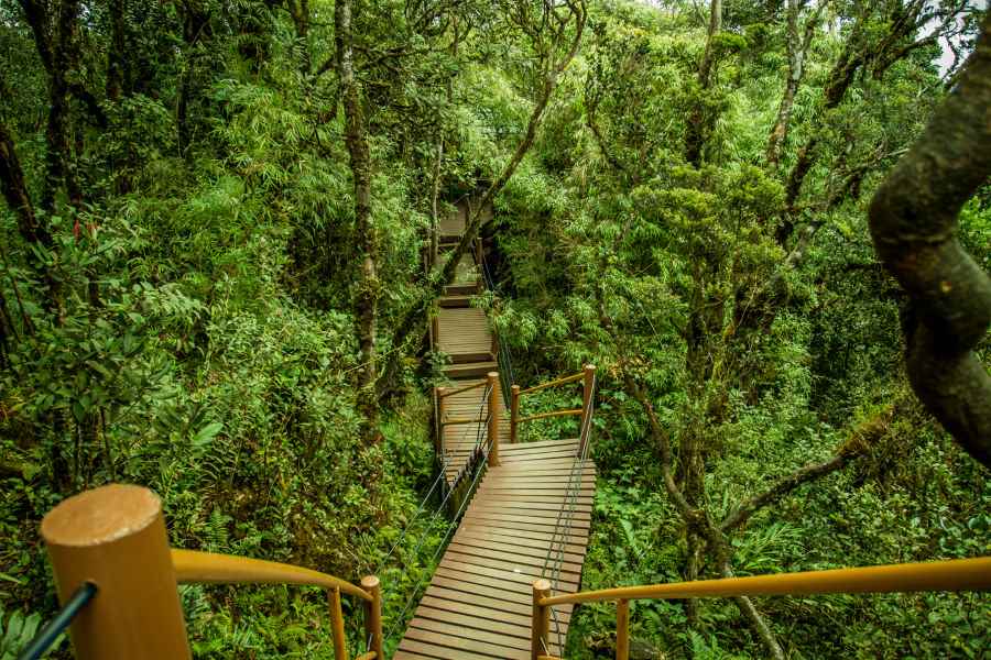 9 Tempat Menarik PERCUMA Wajib Singgah Bila Rancang Bercuti Ke Cameron Highlands