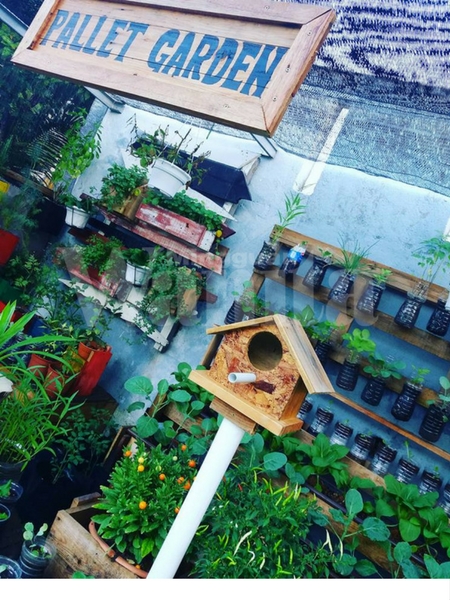 Ohsemnya &#8216;Pallet Garden&#8217; Brader Gombak Ni, Siap Bagi 4 Idea Berkebun Gaya Urban Lagi