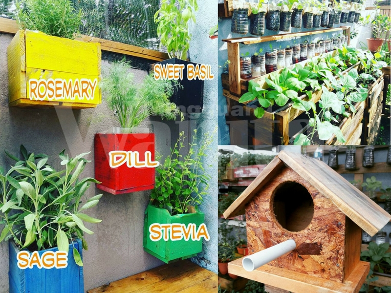 Ohsemnya &#8216;Pallet Garden&#8217; Brader Gombak Ni, Siap Bagi 4 Idea Berkebun Gaya Urban Lagi