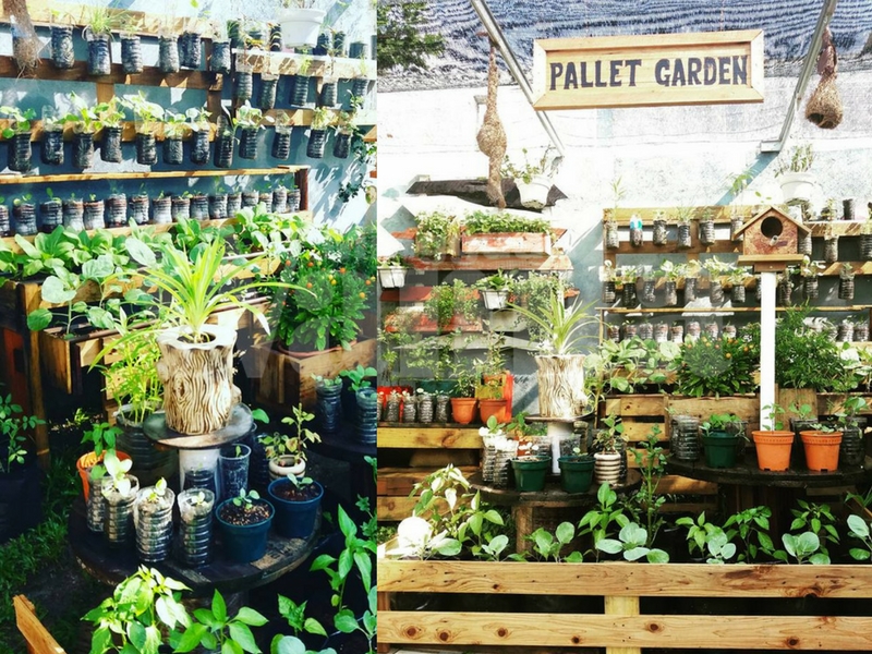 Ohsemnya &#8216;Pallet Garden&#8217; Brader Gombak Ni, Siap Bagi 4 Idea Berkebun Gaya Urban Lagi