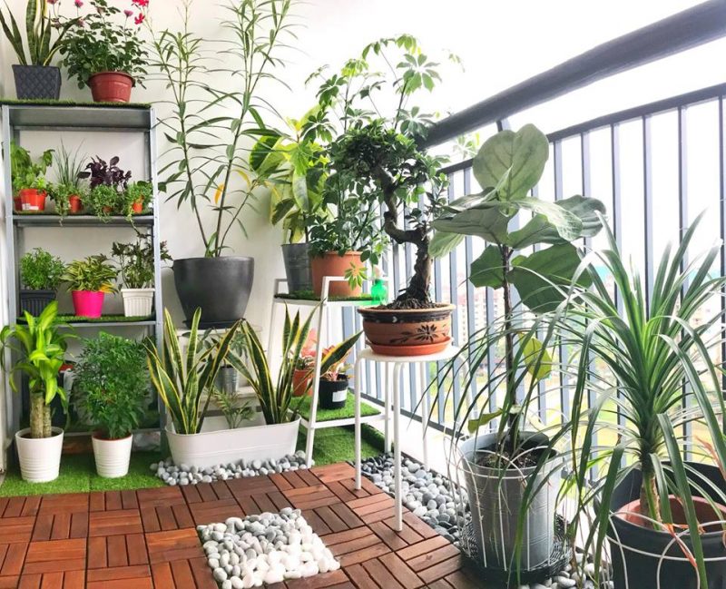 12 Panduan Set Up Taman Mini Balkoni Rumah Tinggi, Wow! Sungguh Hasilnya