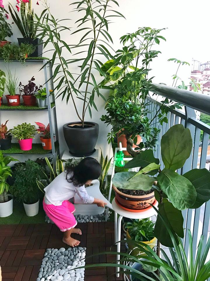 12 Panduan Set Up Taman Mini Balkoni Rumah Tinggi, Wow! Sungguh Hasilnya