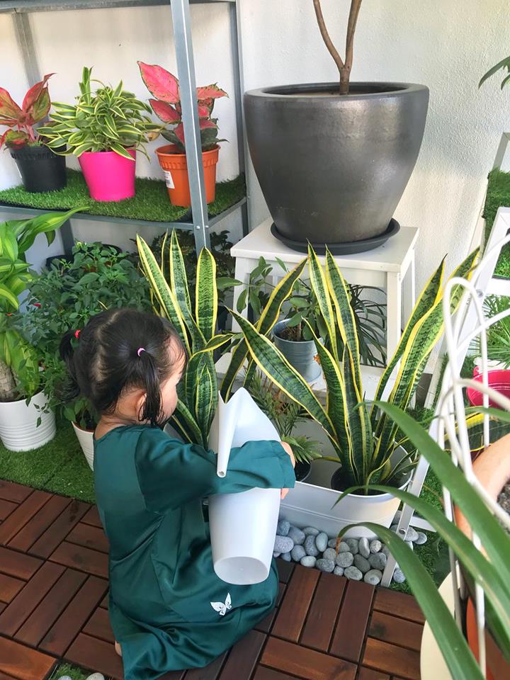 12 Panduan Set Up Taman Mini Balkoni Rumah Tinggi, Wow! Sungguh Hasilnya