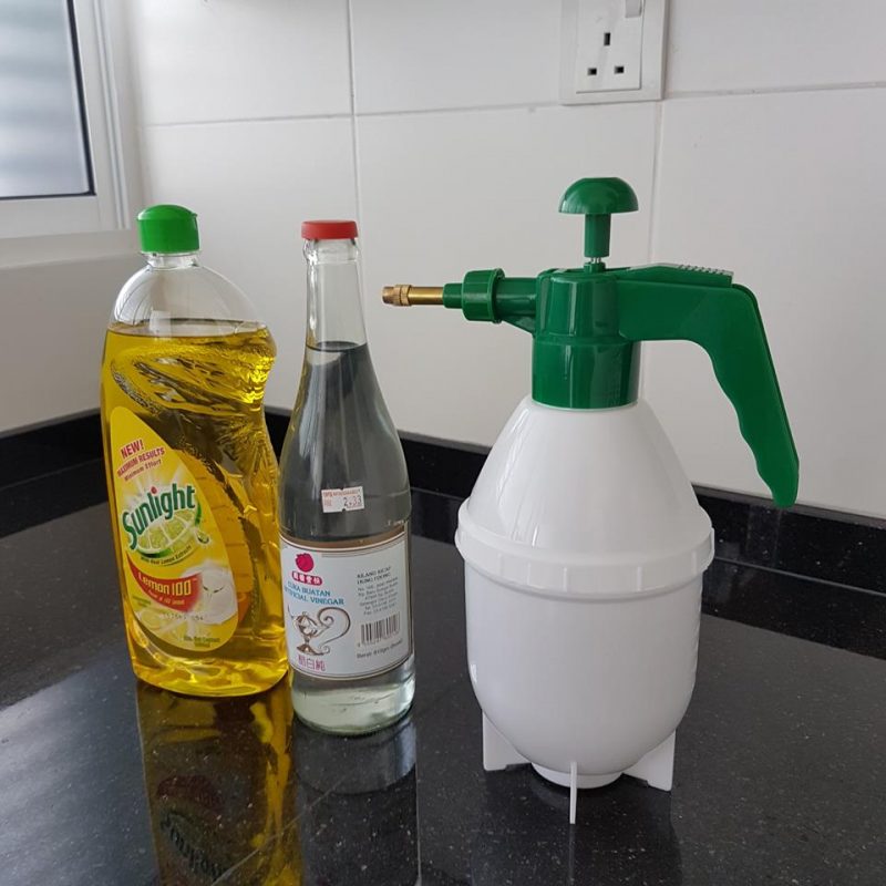 Hapuskan Rumput Liar Di Halaman Rumah, Guna Cuka & Sabun Pencuci Saja! Jimat Lagi Berkesan
