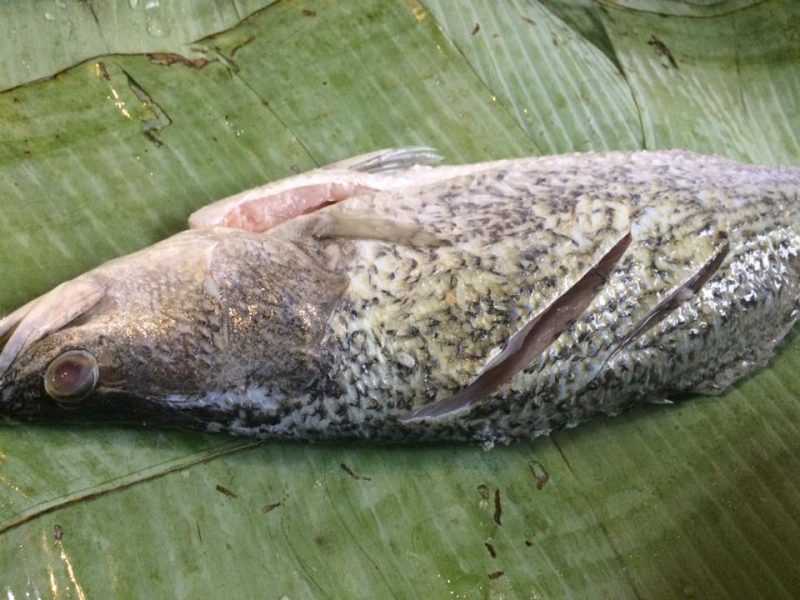 Ini Cara Buat Pes Sambal Ikan Bakar Petai Sedap, Resepi Yang Cukup Terkenal Di Daerah Kuantan