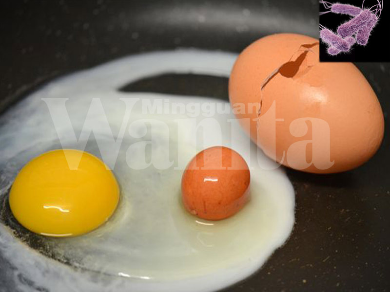 Telur Ada Kuman: Kalau Sistem Imun Tak Kuat, Jangan Makan Telur Separuh Masak