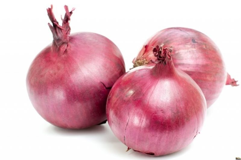 3 Punca Rambut Anak Ada Kutu & Atasinya Dengan 5 Petua Mudah Hanya Guna Bahan Semula Jadi
