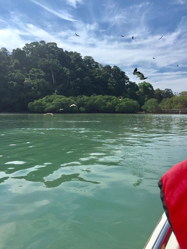 Bagi Yang Nak Merasa Ke Langkawi Naik TREN ETS, Wanita Ini Tunjuk Cara Travel 2 Hari 1 Malam Dengan Anak Kecilnya