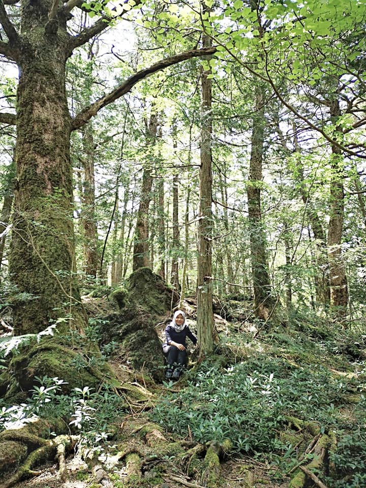 Wanita Ini Lalui Pengalaman Seram, Sebaik Kaki Jejak 'Hutan Bunuh Diri’ Di Jepun
