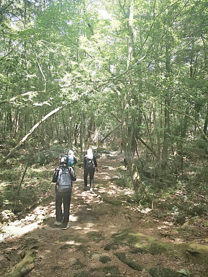 Wanita Ini Lalui Pengalaman Seram, Sebaik Kaki Jejak 'Hutan Bunuh Diri’ Di Jepun