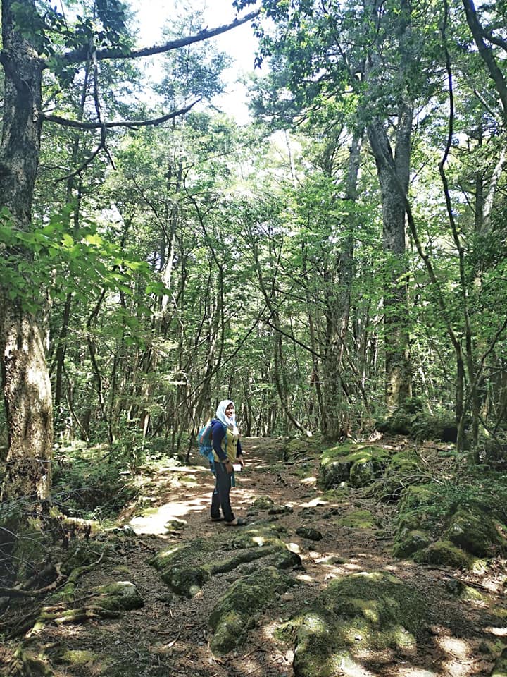 Wanita Ini Lalui Pengalaman Seram, Sebaik Kaki Jejak 'Hutan Bunuh Diri’ Di Jepun